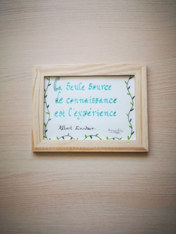 Tableau Calligraphie "La seule source de connaissance est l'expérience"